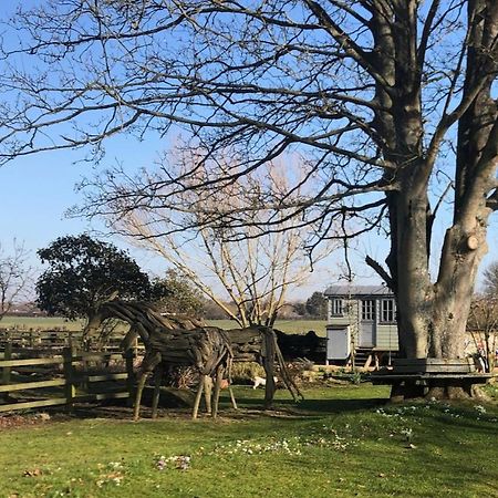 The Shepherd'S Hut @ Chichester Cottage Extérieur photo